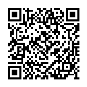 原本正在悄悄往后挪的妖怪们一个个停下了脚步二维码生成