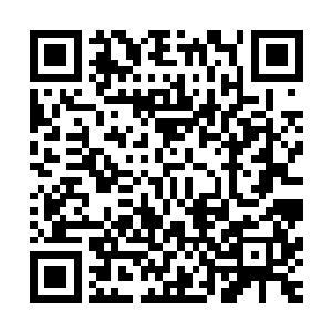 原本看起来还单调无趣的花灯顿时变成了一盏精致的美人花灯二维码生成