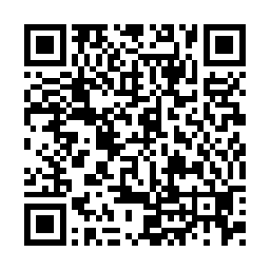 原本秦洛和龙息众人还要想方设法的拯救傅风雪二维码生成