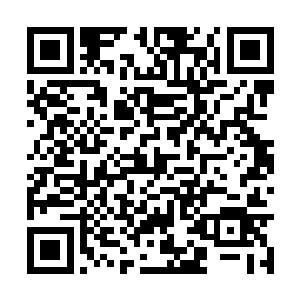 原本肃穆无比的龙海城龙皇神殿现在已经变了模样二维码生成