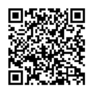 原本趴在街角观察敌情的巴克必须保证炮弹不浪费机会二维码生成