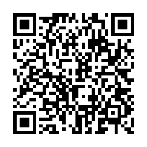 原本还在犹豫究竟要不要将这股能量吸收的时候二维码生成