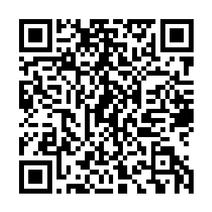 原本还在绞尽脑汁努力保持着冷静拖延着自我吞噬的流墨墨二维码生成