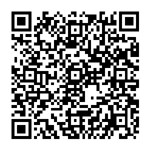 原本还对流墨墨感兴趣的绿渡在看清楚流墨墨这具身体那比红甲还要矮小和干瘦后二维码生成