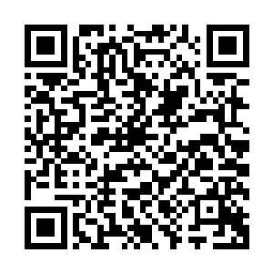原本还带着几分侥幸的木通也不得不全神贯注开始和林烽周旋二维码生成