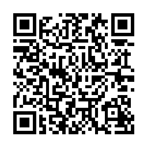 原本还想着等拿到下一个雕象的计划又被打乱了二维码生成