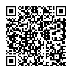 原本还有一丝迟疑的我在看到他们此刻的情况之后果断选择了出手帮助二维码生成