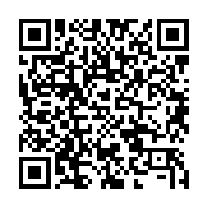 原本还算是杀伐果断的厄瑞玻斯一瞬间也变得畏首畏尾起来二维码生成