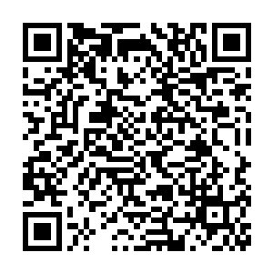 原本这些修士认为这一轮的切磋会在九个圣级一层大修士之间产生二维码生成