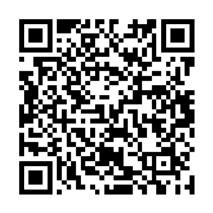 原本连在颜队长手里的生命探测器忽然嘀嘀嘀的响起来二维码生成