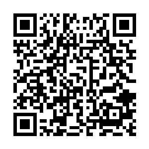 原来两个保安刚刚应聘了尚动所在片区新展派出所的协警二维码生成