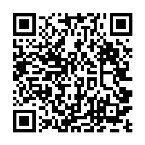 原来他在最后的关头把插在旁边地面上的帝刀拿了过来二维码生成