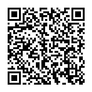 原来你那妹纸和沈兄弟已经神交……呃……哈哈……凤凰族的秘法二维码生成