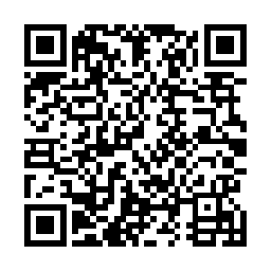 原来其实曹操一开始原本打算一旦与北方马家的战事开启二维码生成