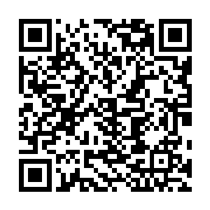 原来孟猊体内的睚眦之力这段时间一直在压制极欢散之毒二维码生成