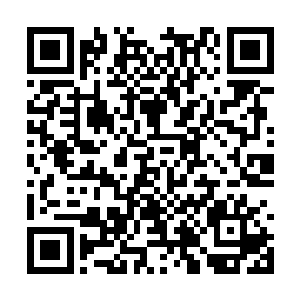 原来有这么多怪物全都躲在这种阳光照不到的地方二维码生成