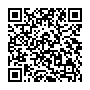 原来祖光龙压根就没将进入长生殿的事情告诉玄神宗二维码生成