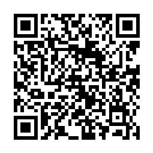 原来符道融合并不需要每一种属性的符道达到巅峰境界二维码生成