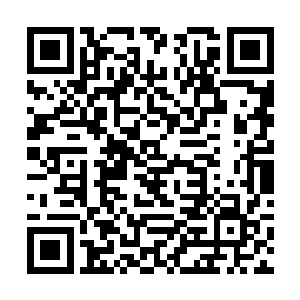 原来说如果没有意外就是这个星期上常委会确定人选二维码生成