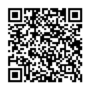 原来这支部队留在大陆的目的是为了破坏大陆的龙脉二维码生成