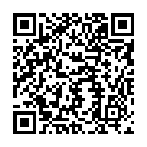 原来那个向几大势力出手的神秘人正是他研究出来的灵器二维码生成