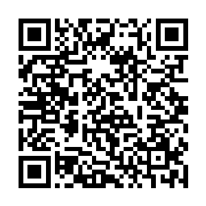 县政府在落实推进县委作出的决定时更多是流于形式二维码生成