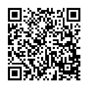 县长何振南宣布了撤销郑俊熙的城建局局长的职务二维码生成
