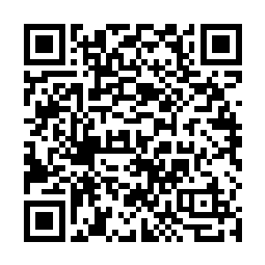 又一一把正好在大堂里的保安们介绍给沈丽缇和杜海琼二维码生成