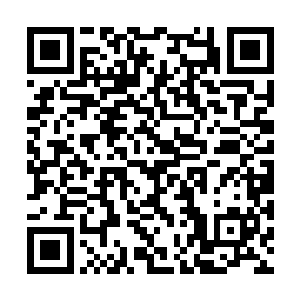 又不断重生的苦难折磨……但回报却也是极为巨大二维码生成