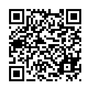 又与生命树幼苗的根系相互依偎着二维码生成