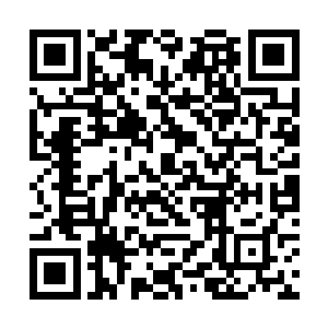 又从屏幕上确定了开往佛罗伦萨的动车是在八号站台二维码生成