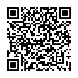 又回头瞥了一眼带着满足微笑已经深深睡过去的墨二维码生成
