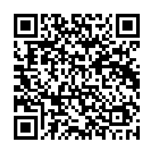 又在楠牟身上找些干枯的枝干在地上生出了一个火堆二维码生成