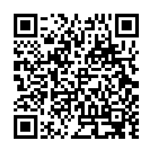 又将目光投注在了正在拿着卷宗处理一些公务的墨皇身上二维码生成
