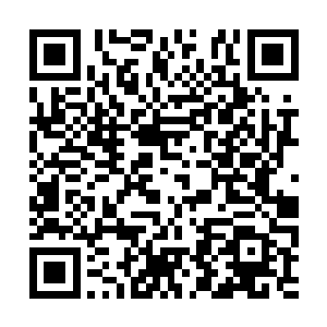 又急于得到最新消息而心急如焚的观众们给打爆了二维码生成