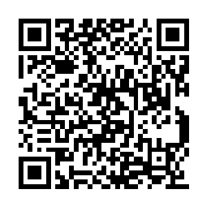 又有四个不当班的保安迅速的向着那里增援而去二维码生成