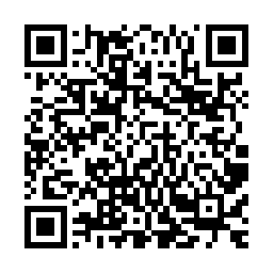 又用滚烫的热油把强盗们统统杀死你们的种族和我的种族不同二维码生成