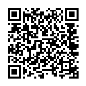 又表达了对这些年来动乱之中不幸死难百姓的哀悼二维码生成