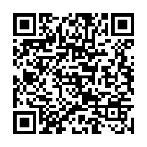 双刀假面先生完全是被一个家财万贯的仇家盯上了二维码生成