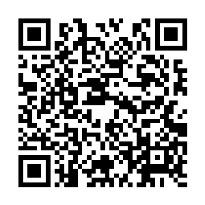 双城子矮小的城墙已经被上千枚炮弹给夷为了平地二维码生成