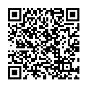 双峰目前的状况大概也只有从外面调来主要领导才合适了二维码生成