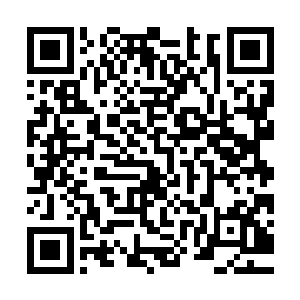 双重灵气的支撑和运用让他的实际战斗力究竟提高到了何种程度二维码生成
