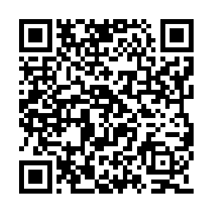 反倒是让她的翻涌不安的心绪渐渐的平静了下来二维码生成