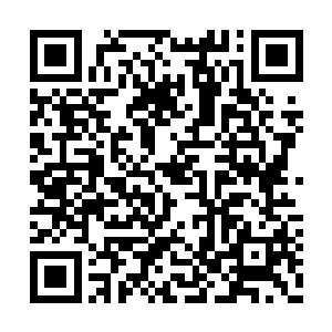 反正就是彻底忽略了获得那么多阴阳圣果的那人二维码生成