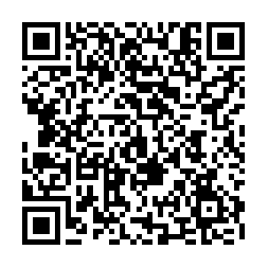 反正我们也没指望他能帮上什么忙……我们要的只是借助他大宗师级的实力二维码生成