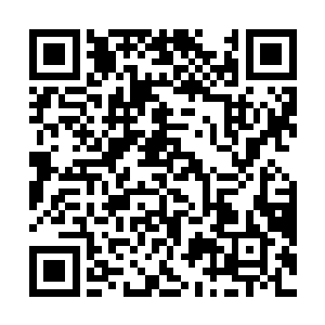 反正这个家伙现在是艾斯基尔城悬赏5000个金币的通缉犯二维码生成