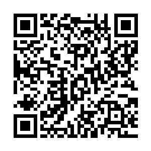 反而是在得奖之后越发感受到了这一座奖杯所承载的信任和赞誉二维码生成