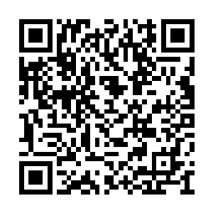 反而是自顾自地准备通过决斗来决定自己的归属二维码生成