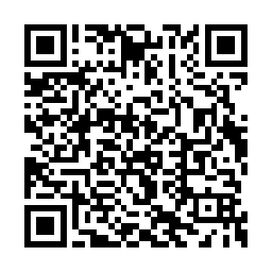 反而笑嘻嘻地望着被四个女子围在中间的燕山魂二维码生成