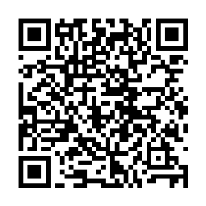 反而获得了难以想象的身体强度以及力量还有速度二维码生成